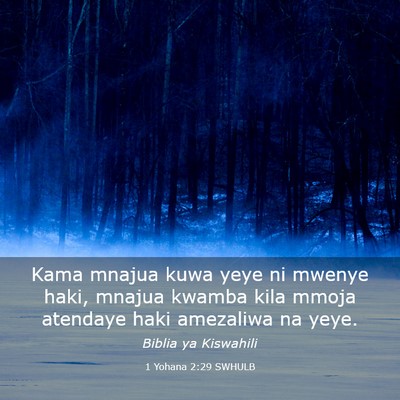 Picture 03 - 1 Yohana 2:29 SWHULB - Kama mnajua kuwa yeye ni mwenye haki, mnajua - Bible Verse Picture