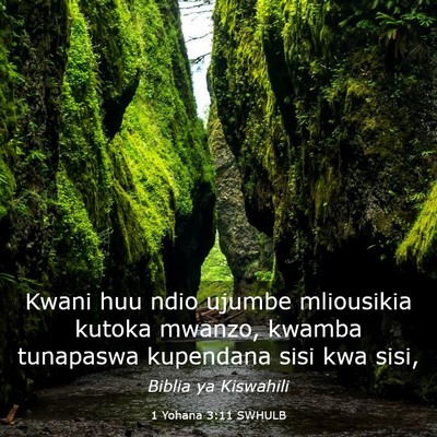 Picture 03 - 1 Yohana 3:11 SWHULB - Kwani huu ndio ujumbe mliousikia kutoka mwanzo, - Bible Verse Picture