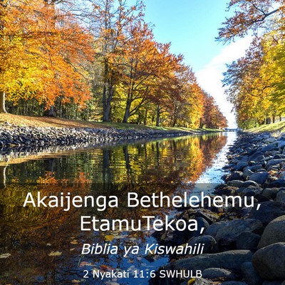 Picture 03 - 2 Nyakati 11:6 SWHULB - Akaijenga Bethelehemu, - Bible Verse Picture