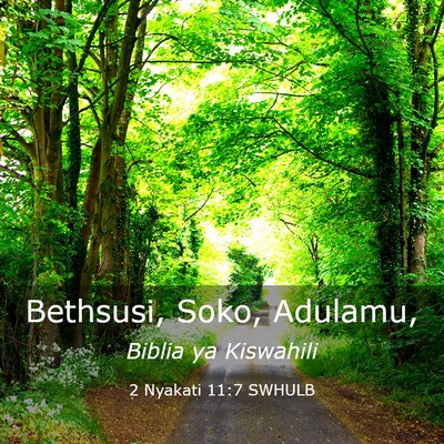 Picture 03 - 2 Nyakati 11:7 SWHULB - Bethsusi, Soko, - Bible Verse Picture