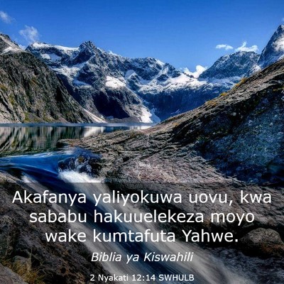 Picture 03 - 2 Nyakati 12:14 SWHULB - Akafanya yaliyokuwa uovu, kwa sababu hakuuelekeza - Bible Verse Picture