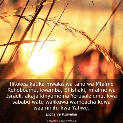 Picture 03 - 2 Nyakati 12:2 SWHULB - Ilitokea katika mwaka wa tano wa Mfalme - Bible Verse Picture