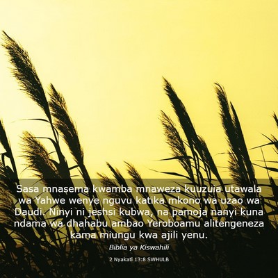 Picture 03 - 2 Nyakati 13:8 SWHULB - Sasa mnasema kwamba mnaweza kuuzuia utawala wa - Bible Verse Picture