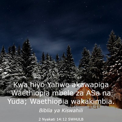 Picture 03 - 2 Nyakati 14:12 SWHULB - Kwa hiyo Yahwe akawapiga Waethiopia mbele za ASa - Bible Verse Picture