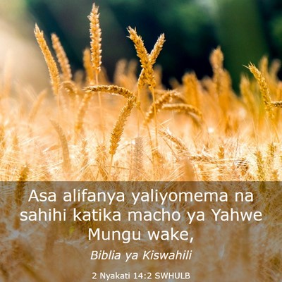 Picture 03 - 2 Nyakati 14:2 SWHULB - Asa alifanya yaliyomema na sahihi katika macho ya - Bible Verse Picture