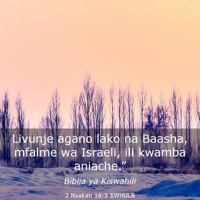 Picture 03 - 2 Nyakati 16:3 SWHULB - Livunje agano lako na Baasha, mfalme wa Israeli, - Bible Verse Picture