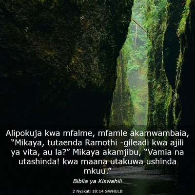 Picture 03 - 2 Nyakati 18:14 SWHULB - Alipokuja kwa mfalme, mfamle akamwambaia, - Bible Verse Picture