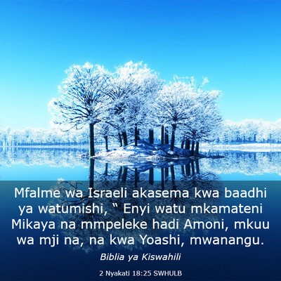 Picture 03 - 2 Nyakati 18:25 SWHULB - Mfalme wa Israeli akasema kwa baadhi ya - Bible Verse Picture