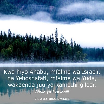 Picture 03 - 2 Nyakati 18:28 SWHULB - Kwa hiyo Ahabu, mfalme wa Israeli, na - Bible Verse Picture