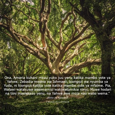 Picture 03 - 2 Nyakati 19:11 SWHULB - Ona, Amaria kuhani mkuu yuko juu yenu katika - Bible Verse Picture