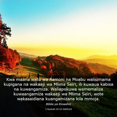 Picture 03 - 2 Nyakati 20:23 SWHULB - Kwa maana watu wa Aamoni na Moabu walisimama - Bible Verse Picture