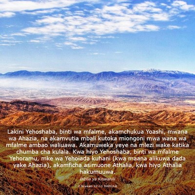 Picture 03 - 2 Nyakati 22:11 SWHULB - Lakini Yehoshaba, binti wa mfalme, akamchukua - Bible Verse Picture