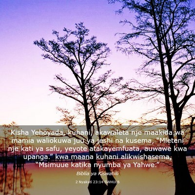Picture 03 - 2 Nyakati 23:14 SWHULB - Kisha Yehoyada, kuhani, akawaleta nje maakida wa - Bible Verse Picture