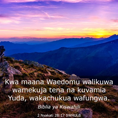 Picture 03 - 2 Nyakati 28:17 SWHULB - Kwa maana Waedomu walikuwa wamekuja tena na - Bible Verse Picture