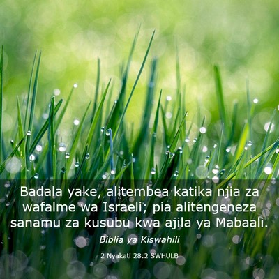 Picture 03 - 2 Nyakati 28:2 SWHULB - Badala yake, alitembea katika njia za wafalme wa - Bible Verse Picture