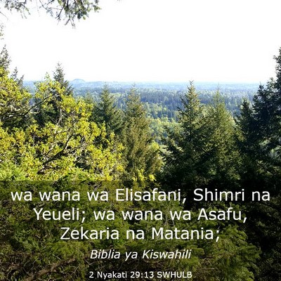 Picture 03 - 2 Nyakati 29:13 SWHULB - wa wana wa Elisafani, Shimri na Yeueli; wa wana - Bible Verse Picture