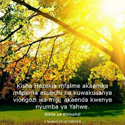 Picture 03 - 2 Nyakati 29:20 SWHULB - Kisha Hezekia mfalme akaamka mapema asubuhi na - Bible Verse Picture