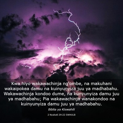 Picture 03 - 2 Nyakati 29:22 SWHULB - Kwa hiyo wakawachinja ng'ombe, na makuhani - Bible Verse Picture