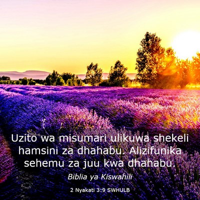 Picture 03 - 2 Nyakati 3:9 SWHULB - Uzito wa misumari ulikuwa shekeli hamsini za - Bible Verse Picture