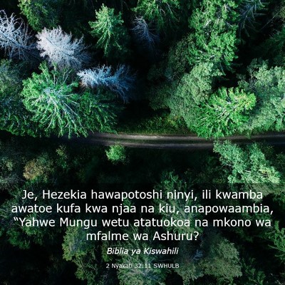 Picture 03 - 2 Nyakati 32:11 SWHULB - Je, Hezekia hawapotoshi ninyi, ili kwamba awatoe - Bible Verse Picture