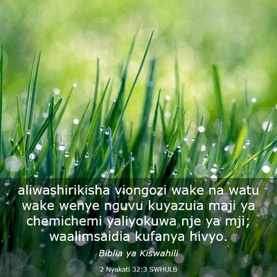 Picture 03 - 2 Nyakati 32:3 SWHULB - aliwashirikisha viongozi wake na watu wake wenye - Bible Verse Picture