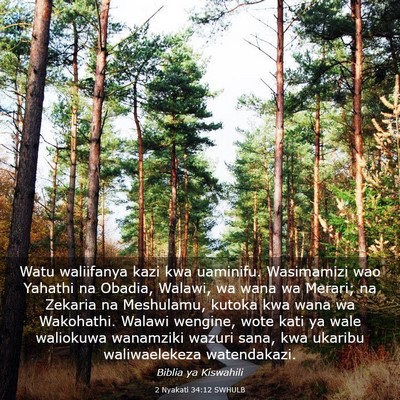 Picture 03 - 2 Nyakati 34:12 SWHULB - Watu waliifanya kazi kwa uaminifu. Wasimamizi wao - Bible Verse Picture