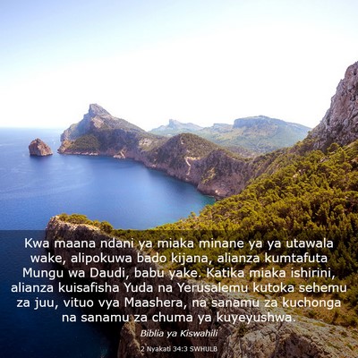 Picture 03 - 2 Nyakati 34:3 SWHULB - Kwa maana ndani ya miaka minane ya ya utawala - Bible Verse Picture