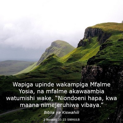 Picture 03 - 2 Nyakati 35:23 SWHULB - Wapiga upinde wakampiga Mfalme Yosia, na mfalme - Bible Verse Picture