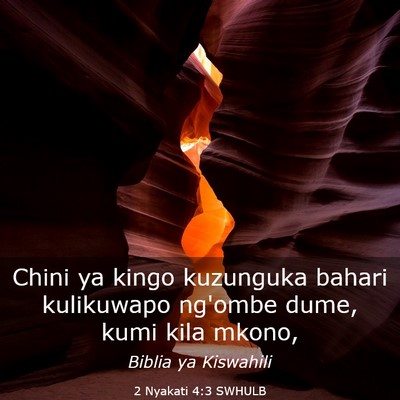 Picture 03 - 2 Nyakati 4:3 SWHULB - Chini ya kingo kuzunguka bahari kulikuwapo - Bible Verse Picture