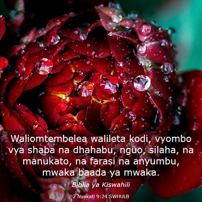 Picture 03 - 2 Nyakati 9:24 SWHULB - Waliomtembelea walileta kodi, vyombo vya shaba na - Bible Verse Picture