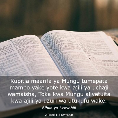 Picture 03 - 2 Petro 1:3 SWHULB - Kupitia maarifa ya Mungu tumepata mambo yake yote - Bible Verse Picture