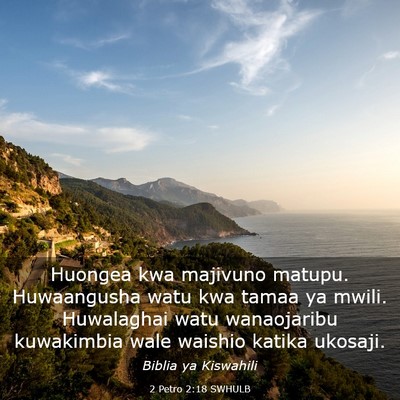 Picture 03 - 2 Petro 2:18 SWHULB - Huongea kwa majivuno matupu. Huwaangusha watu kwa - Bible Verse Picture