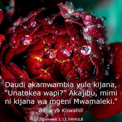 Picture 03 - 2 Samweli 1:13 SWHULB - Daudi akamwambia yule kijana, “Unatokea - Bible Verse Picture