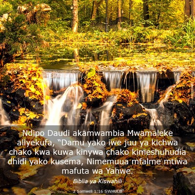 Picture 03 - 2 Samweli 1:16 SWHULB - Ndipo Daudi akamwambia Mwamaleke aliyekufa, - Bible Verse Picture