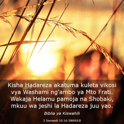Picture 03 - 2 Samweli 10:16 SWHULB - Kisha Hadareza akatuma kuleta vikosi vya Washami - Bible Verse Picture