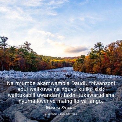 Picture 03 - 2 Samweli 11:23 SWHULB - Na mjumbe akamwambia Daudi, “Mwanzoni adui - Bible Verse Picture