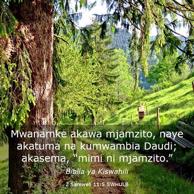 Picture 03 - 2 Samweli 11:5 SWHULB - Mwanamke akawa mjamzito, naye akatuma na - Bible Verse Picture