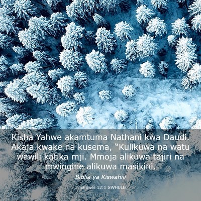 Picture 03 - 2 Samweli 12:1 SWHULB - Kisha Yahwe akamtuma Nathani kwa Daudi. Akaja - Bible Verse Picture