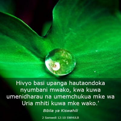 Picture 03 - 2 Samweli 12:10 SWHULB - Hivyo basi upanga hautaondoka nyumbani mwako, kwa - Bible Verse Picture