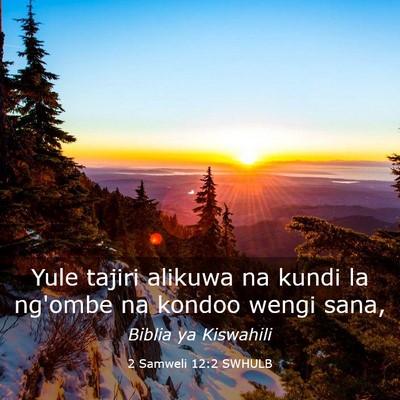 Picture 03 - 2 Samweli 12:2 SWHULB - Yule tajiri alikuwa na kundi la ng'ombe na kondoo - Bible Verse Picture