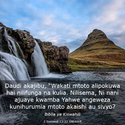 Picture 03 - 2 Samweli 12:22 SWHULB - Daudi akajibu, “Wakati mtoto alipokuwa hai - Bible Verse Picture