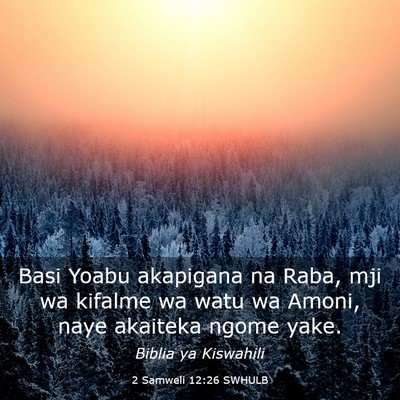 Picture 03 - 2 Samweli 12:26 SWHULB - Basi Yoabu akapigana na Raba, mji wa kifalme wa - Bible Verse Picture