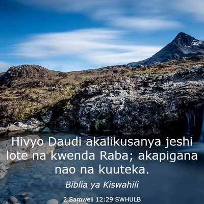 Picture 03 - 2 Samweli 12:29 SWHULB - Hivyo Daudi akalikusanya jeshi lote na kwenda - Bible Verse Picture