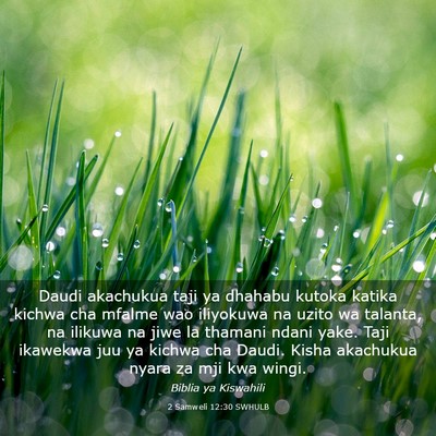 Picture 03 - 2 Samweli 12:30 SWHULB - Daudi akachukua taji ya dhahabu kutoka katika - Bible Verse Picture