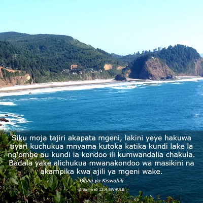 Picture 03 - 2 Samweli 12:4 SWHULB - Siku moja tajiri akapata mgeni, lakini yeye - Bible Verse Picture