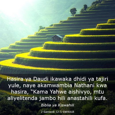Picture 03 - 2 Samweli 12:5 SWHULB - Hasira ya Daudi ikawaka dhidi ya tajiri yule, - Bible Verse Picture