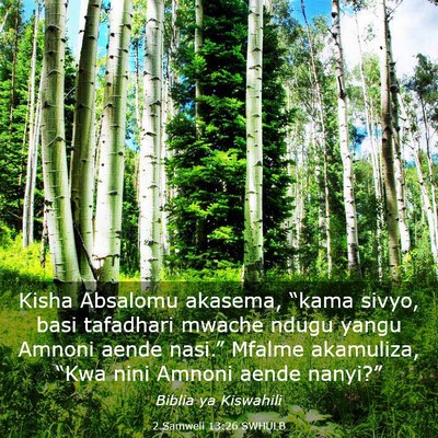 Picture 03 - 2 Samweli 13:26 SWHULB - Kisha Absalomu akasema, “kama sivyo, basi - Bible Verse Picture