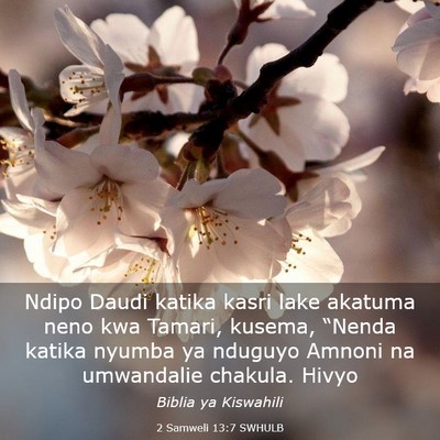 Picture 03 - 2 Samweli 13:7 SWHULB - Ndipo Daudi katika kasri lake akatuma neno kwa - Bible Verse Picture