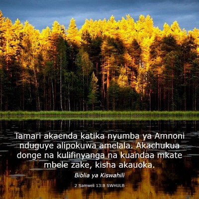 Picture 03 - 2 Samweli 13:8 SWHULB - Tamari akaenda katika nyumba ya Amnoni nduguye - Bible Verse Picture