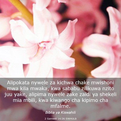 Picture 03 - 2 Samweli 14:26 SWHULB - Alipokata nywele za kichwa chake mwishoni mwa - Bible Verse Picture